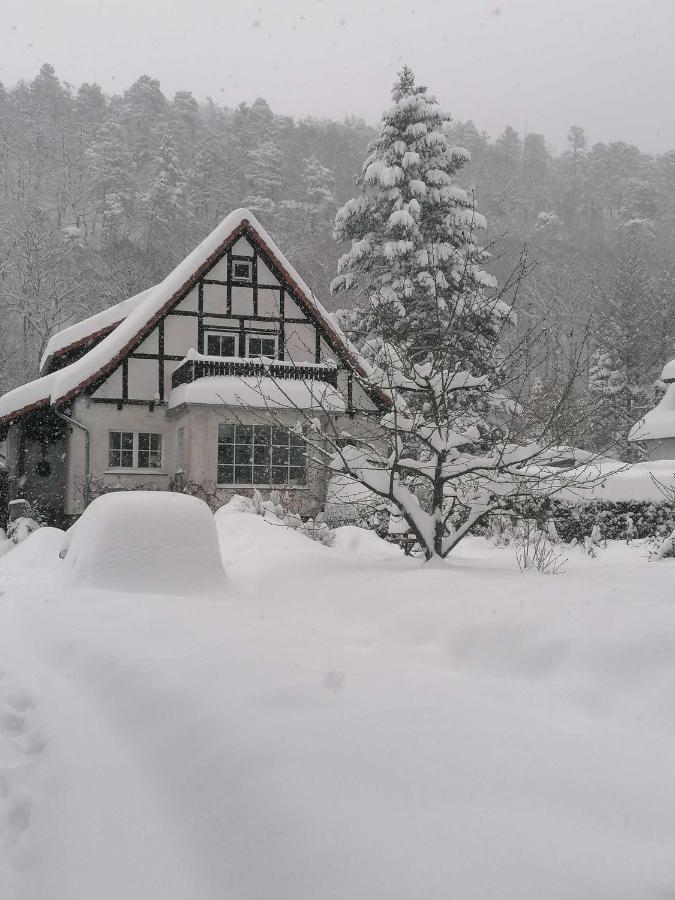 Ferienwohnung Natur Pur Muehlental Wernigerode Esterno foto