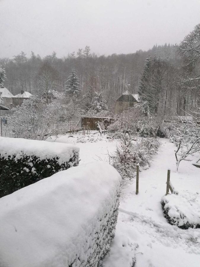 Ferienwohnung Natur Pur Muehlental Wernigerode Esterno foto