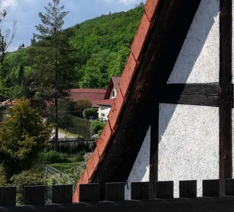 Ferienwohnung Natur Pur Muehlental Wernigerode Esterno foto