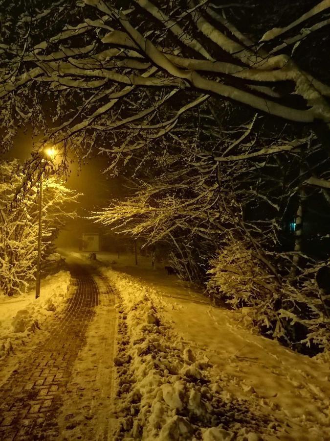 Ferienwohnung Natur Pur Muehlental Wernigerode Esterno foto