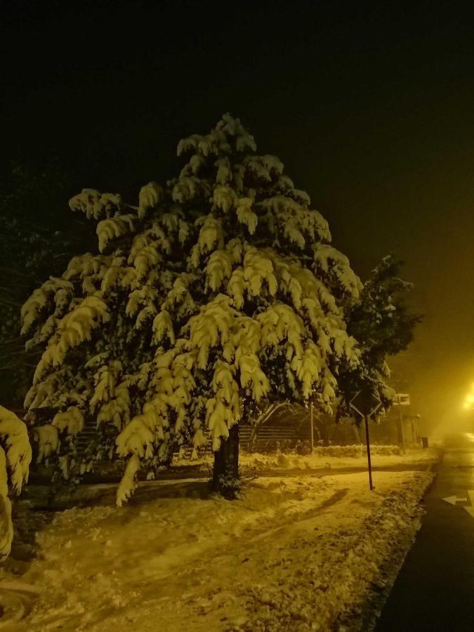 Ferienwohnung Natur Pur Muehlental Wernigerode Esterno foto